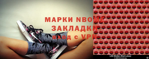 мдпв Абаза