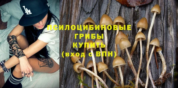 гидра Абдулино